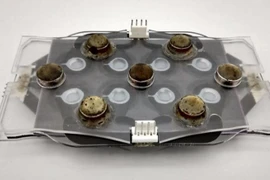 Thiết bị mới phát hiện vi khuẩn kháng kháng sinh nhanh hơn