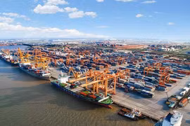 Hàng ngàn container rác "ăn vạ" tại cảng Hải Phòng