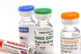Kết quả giai đoạn 3a của vaccine Nano Covax có nhiều triển vọng