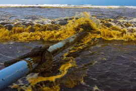 Xác định thủ phạm khiến nước biển đổi màu cà phê ở Quảng Ngãi