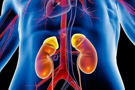 5 dấu hiệu suy thận cấp điển hình bạn không thể bỏ qua