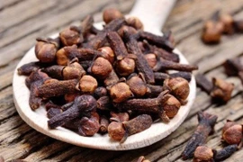 Đinh hương chữa chân tay lạnh