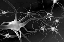 Hydrogel mới giúp sửa chữa các dây thần kinh bị tổn thương