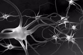 Hydrogel mới giúp sửa chữa các dây thần kinh bị tổn thương