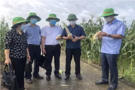 Thẩm định, đánh giá các giải pháp tại Hội thi Sáng tạo KHCN&KT Thái Bình lần thứ IX