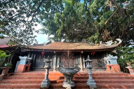 Ni sư 95 tuổi viết đơn tha thiết tặng chùa cho Giáo hội Phật giáo