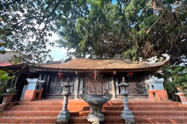 Ni sư 95 tuổi viết đơn tha thiết tặng chùa cho Giáo hội Phật giáo