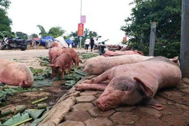 Con bỏ ăn vì mẹ tẩy chay thịt lợn 