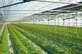 Những ứng dụng công nghệ hiện đại nhất trong nông nghiệp