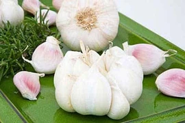 Trị bệnh hiệu quả từ rau thơm vườn nhà