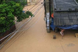 Những cách để có nước sạch dùng sau lũ