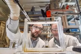 Cơ nhân tạo từ các protein tự nhiên