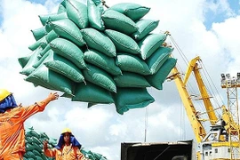 Hải quan lên tiếng vì bị "tố" mở tờ khai xuất khẩu 400.000 tấn gạo lúc nửa đêm