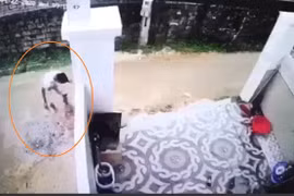 Bắt giữ tài xế cán chết bé trai 1 tuổi, giấu xác phi tang