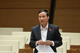 Đại biểu Quốc hội: Nhiều ý kiến đề xuất thành lập thêm các Bộ