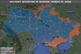 Không chiến trên không phận và mặt đất Ukraina