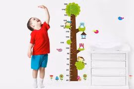 Bổ sung dinh dưỡng phát triển chiều cao