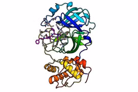 Đức phát hiện ra các chất ức chế SARS-CoV-2 tiềm năng