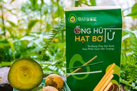 Ống hút từ hạt bơ