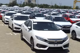 Xuất khẩu ngày 11-14/5: Nhập khẩu thịt lợn từ Nga tăng sốc hơn 1.100%; gạo Việt được yêu thích ở Mỹ; nhập khẩu ô tô tăng mạnh