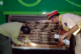 Quảng Nam: Phát hiện 2 ôtô khách vận chuyển 10m3 gỗ lậu