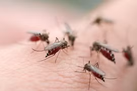 Thể bệnh nghiêm trọng nhất của sốt xuất huyết là gì?