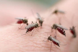 Thể bệnh nghiêm trọng nhất của sốt xuất huyết là gì?