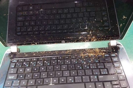 Máy tính bẩn nhanh hỏng