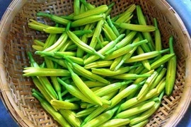 Món ăn hỗ trợ trị liệu ung thư cổ tử cung