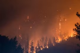 Thiết bị phát hiện cháy rừng từ xa hoạt động bằng sức gió