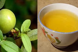 Không tự ý dùng thuốc cầm tiêu chảy