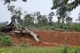 Kon Tum thanh tra toàn diện 27 dự án đầu tự tại huyện Kon Plông