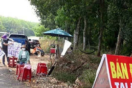 Mua đất như mua rau, đại gia vác thùng carton đựng hàng chục bó tiền đi mua bán đất