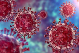 6 biện pháp phòng chống biến chủng Omicron.