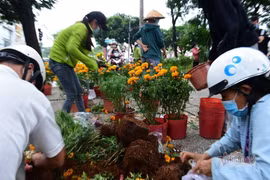 Tiểu thương rướm nước mắt bán tháo, cắt bỏ hoa ế ngày 30 Tết