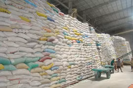 Việt Nam giữ sản lượng 22 triệu tấn gạo