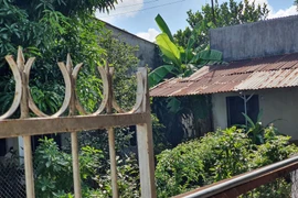 Nam sinh nghi giết mẹ rồi tự tử là học sinh giỏi 3 năm liền