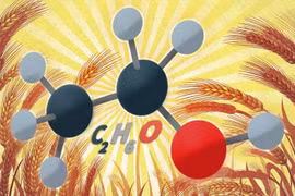 Men vi sinh thúc đẩy sản xuất nhiên liệu sinh học