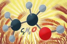 Men vi sinh thúc đẩy sản xuất nhiên liệu sinh học