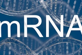 Văcxin HIV mRNA thử nghiệm có triển vọng