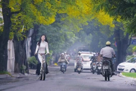 Ta còn chờ ai, nhạt phai sắc nắng…