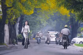 Ta còn chờ ai, nhạt phai sắc nắng…