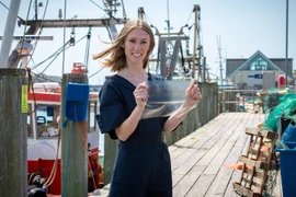 Nhựa sinh học từ da cá