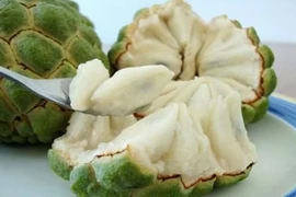 Na chữa mụn nhọt