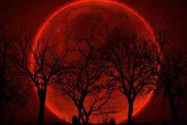 Lý giải những bí ẩn liên quan đến hiện tượng Nguyệt thực