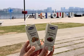 3 lý do dòng sữa hạt cao cấp của Vinamilk được kỳ vọng “làm nên chuyện” tại Hàn Quốc