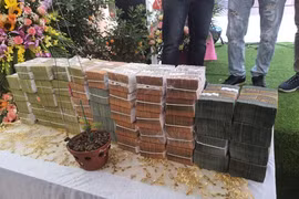 Công an vào cuộc vụ bán lan đột biến 250 tỷ đồng ở Quảng Ninh