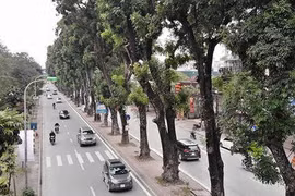 Ảnh: Đường Láng thay đổi bất ngờ, dân Thủ đô cứ ngỡ đang lạc vào đường phố Singapore