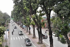 Ảnh: Đường Láng thay đổi bất ngờ, dân Thủ đô cứ ngỡ đang lạc vào đường phố Singapore