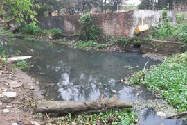 Nam Định: Sau 2 năm dừng hoạt động vì xả thải, làng quê vẫn chịu cảnh ô nhiễm